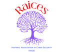 RAICES-cyber-logo-1